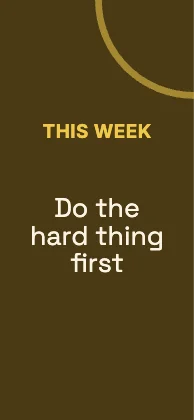 Motto wallpaper · Mustard dark · Grotesk
