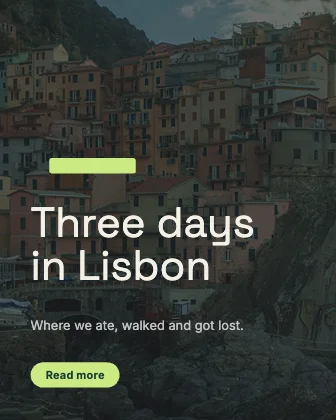 Travel story · Forest · Grotesk