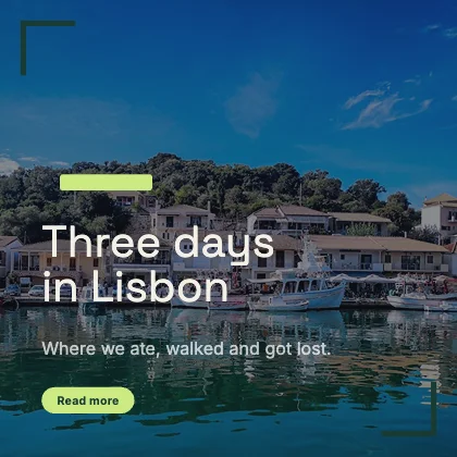 Travel story · Forest · Grotesk