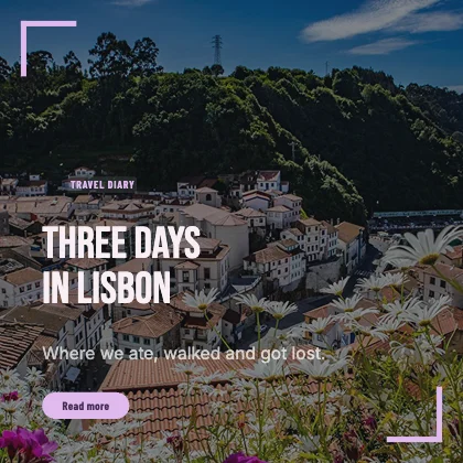 Travel story · Plum dark · Poster