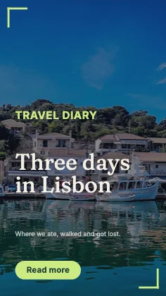 Travel story · Forest dark
