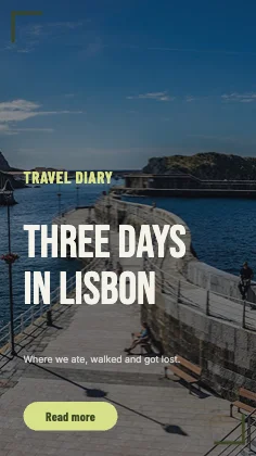 Travel story · Olive · Poster